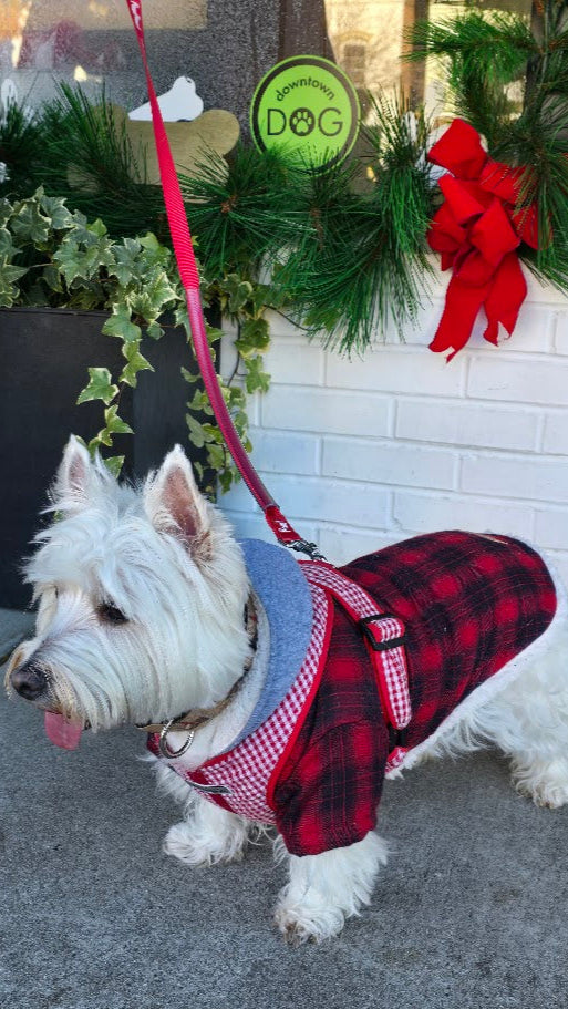 PawProof Leash