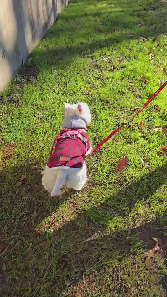 PawProof Leash